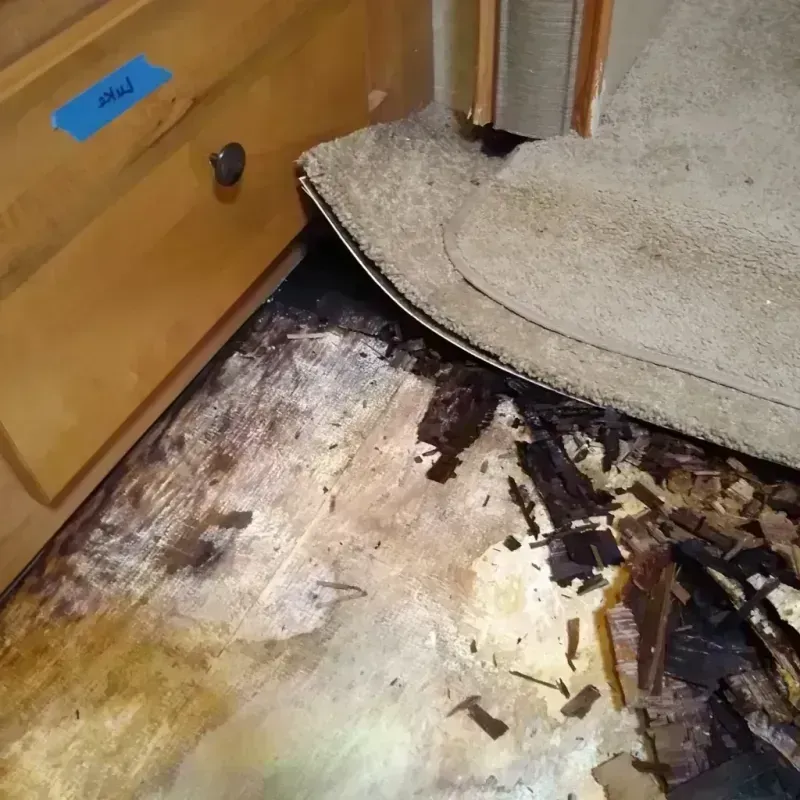 Wood Floor Water Damage in Muskogee, OK